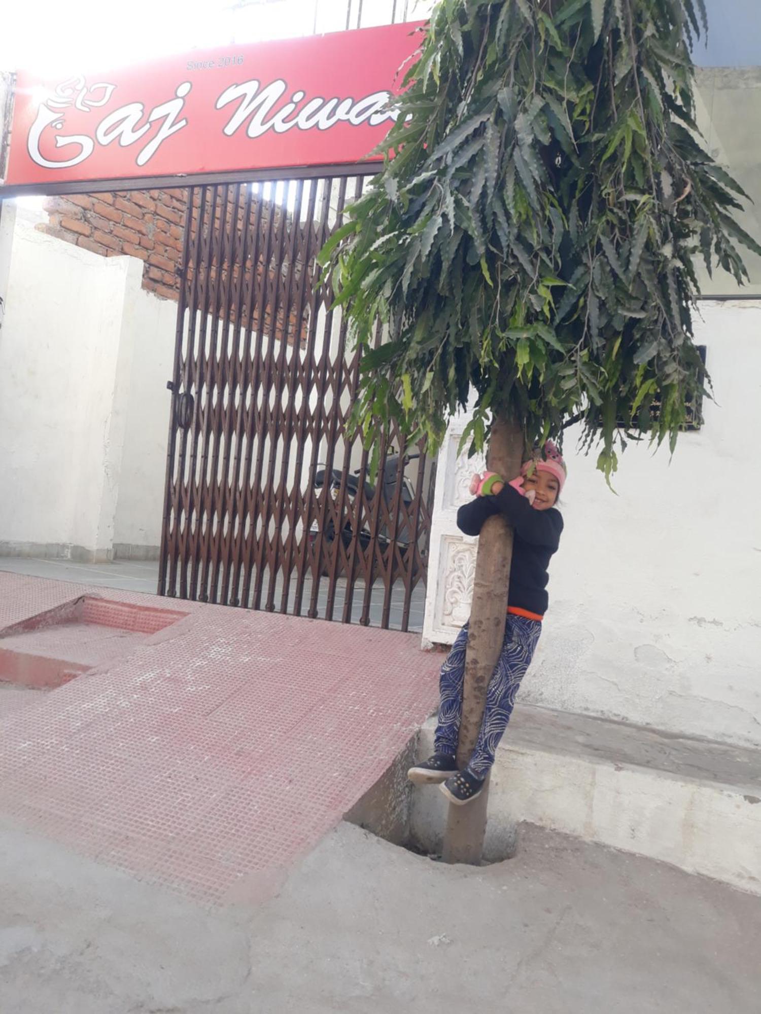 Gaj Niwas Hotel And Restaurant,Udaipur,Rajasthan Exterior photo